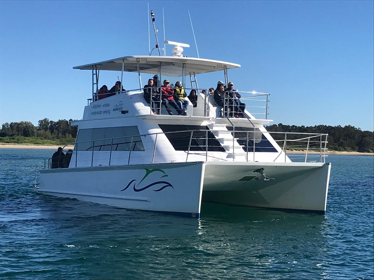 Morning Tea River Cruise with Dolphin Spotting