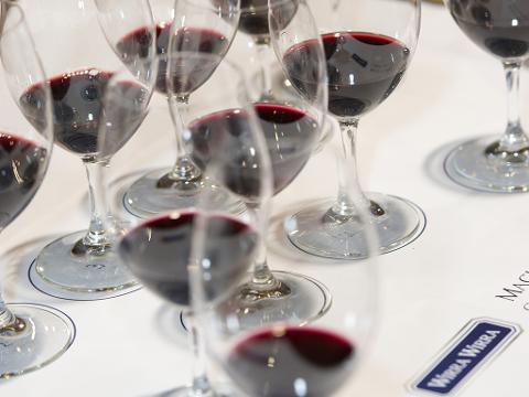 Shiraz Revolution