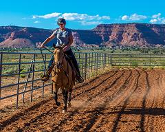 Learn the Basics of Western Horsemanship