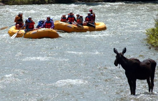 The Geyser Zipline/Rafting Package