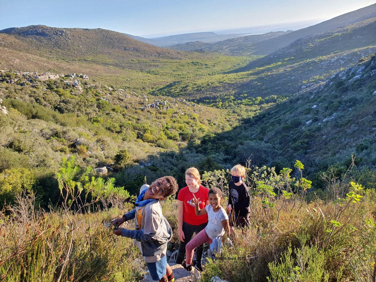 Educational nature walks and hikes