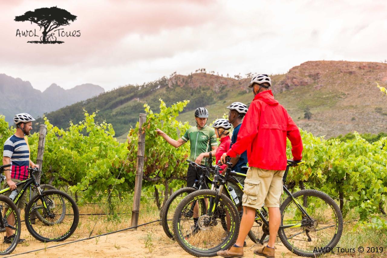 Winelands cycling tours 