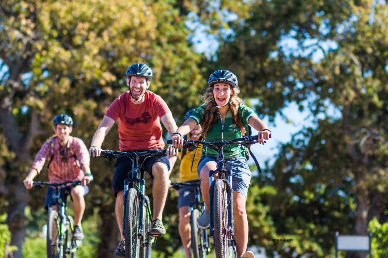 Winelands cycling tours