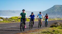 Cape Point cycling tour