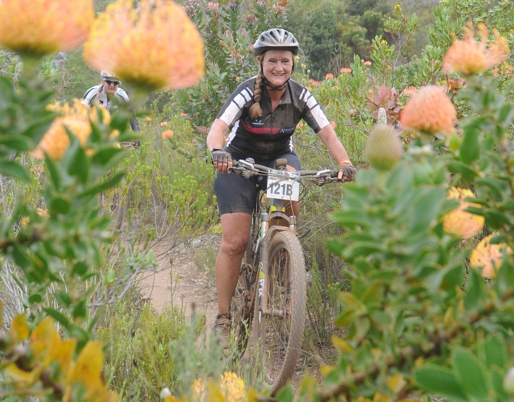 Mountain biking tours in Winelands