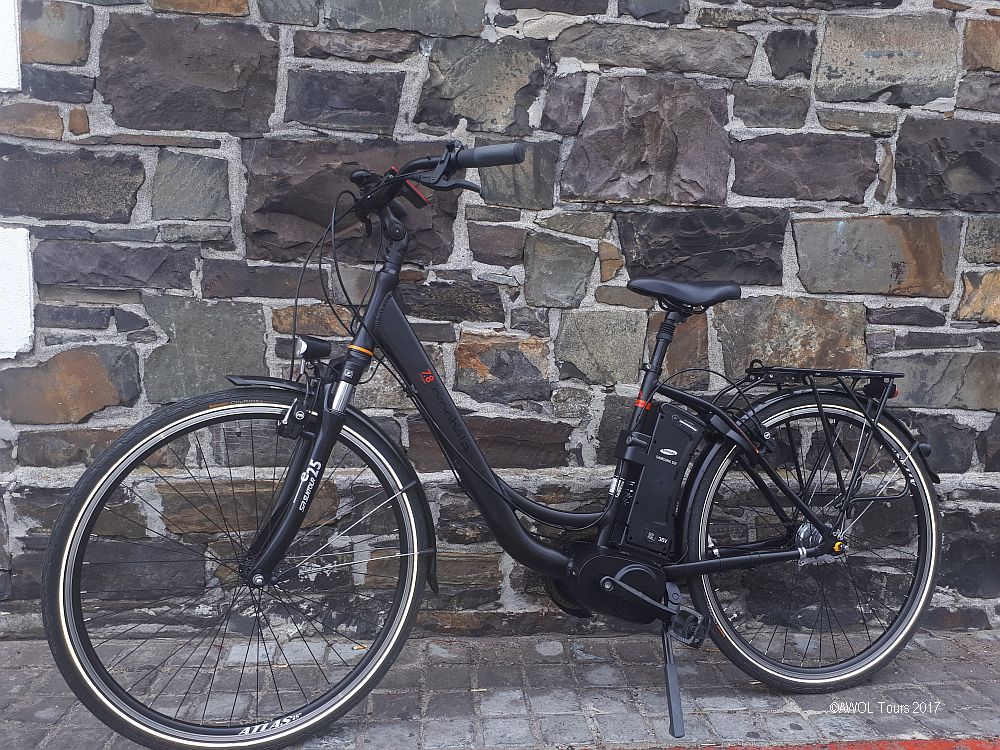 Hire of electric city bike rental