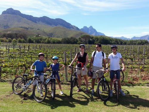 Winelands Meander cycling tours