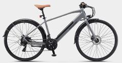 Hire of electric city bike rental