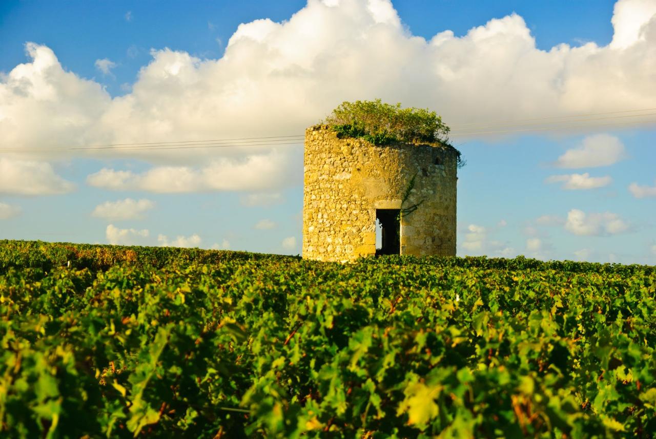 4 Days Private Bordeaux Wine Tour Packages - 4* Hotel