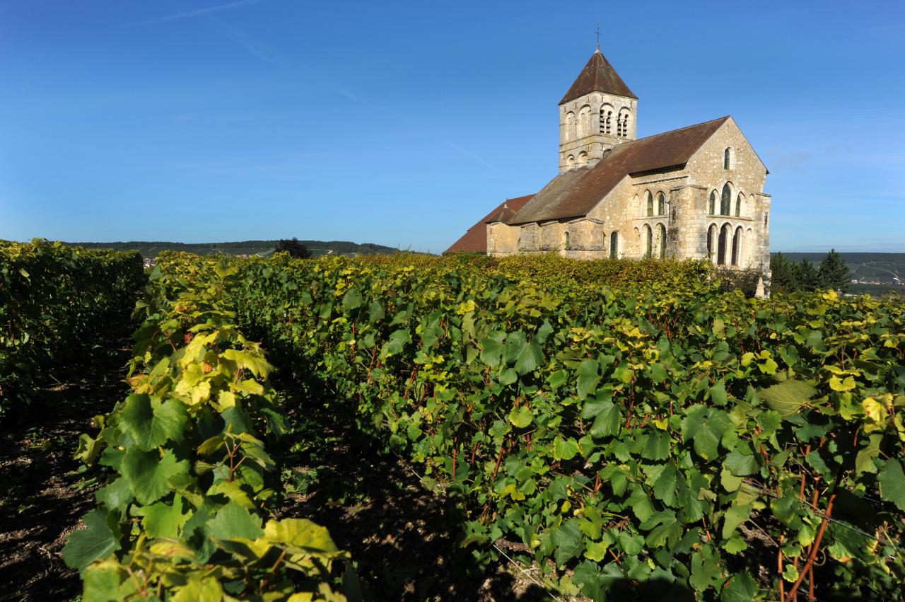 11 Days Private Champagne, Alsace & Burgundy Package - 5* Hotel