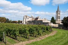 Private Half-Day Saint Emilion Wine Tour for 2 – Bordeaux Departure