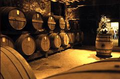 Wine, Châteaux & Cognac: Bordeaux to Loire Valley Escape