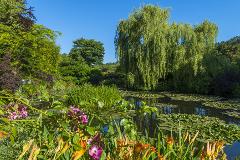 Brushstrokes & Beauty: Private Giverny Gardens Shore Excursion from Rouen