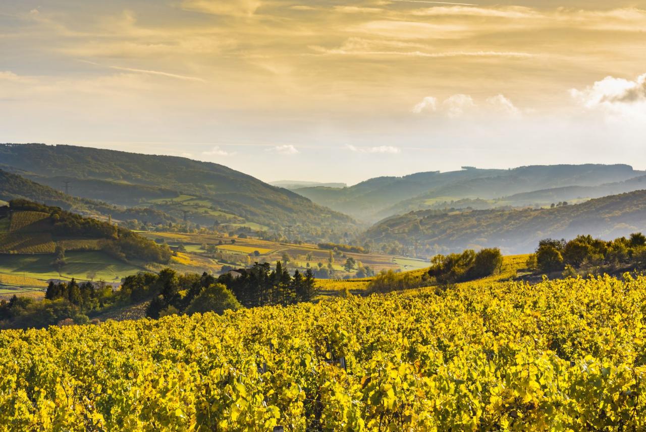 6 Days Small Group Alsace & Burgundy Package - 4* Hotel