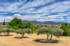 Luberon Villages Tour: Unveiling the Charms of Provence