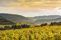 6 Days Small Group Alsace & Burgundy Package - 3* Hotel