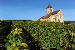 Epernay Bubbles: Private Champagne Houses & Tastings