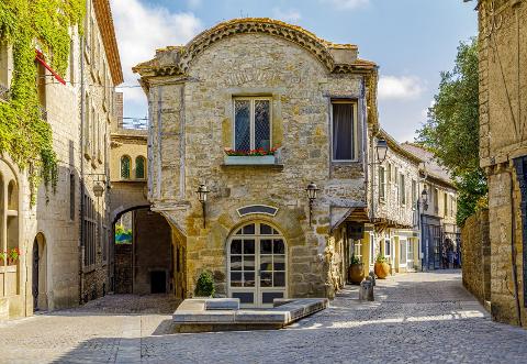 From Port Vendres Port to Carcassonne & Languedoc Wine Tour private