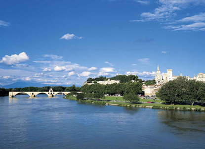 In the Footsteps of Popes & Painters: Avignon Private Tour