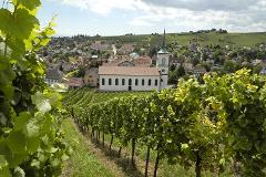 Alsace Wine Escape: Half-Day Tour for Two from Strasbourg