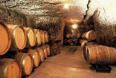 Loire Valley Discovery: Private Angers Package with Fontevraud & Saumur