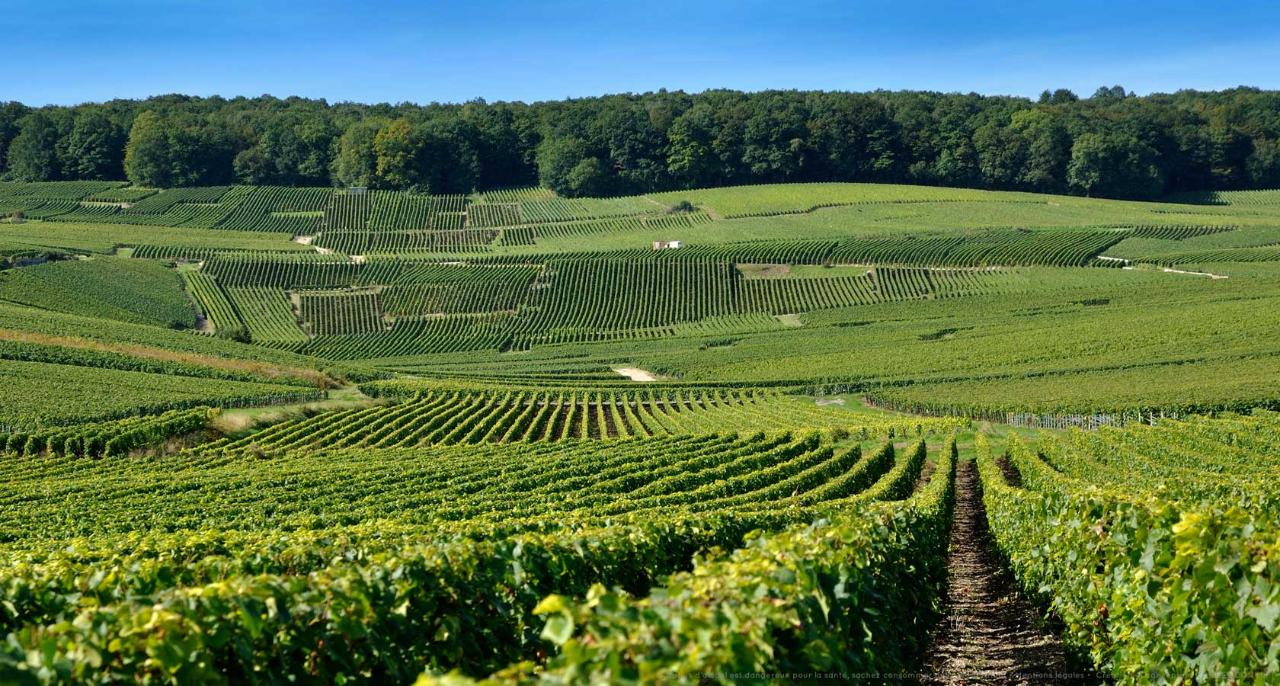 INTIMATE CHAMPAGNE IN 4**** HOTEL - 4 DAYS / 3 NIGHTS