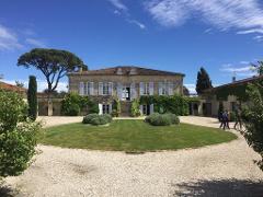 A Taste of Medoc: Half-Day Private Wine Tour from Bordeaux  Port