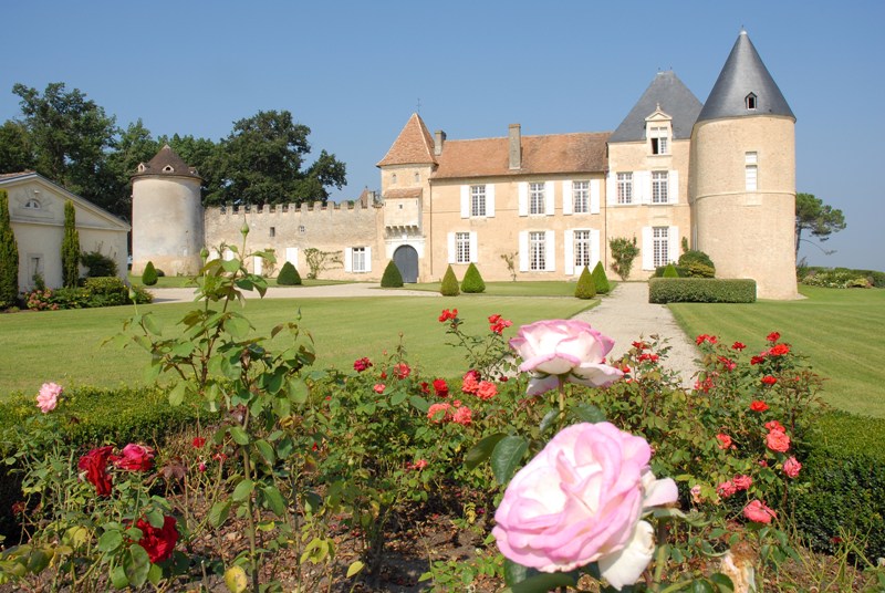 Château d'Yquem Visit & Wine Tasting - Discovery Tour