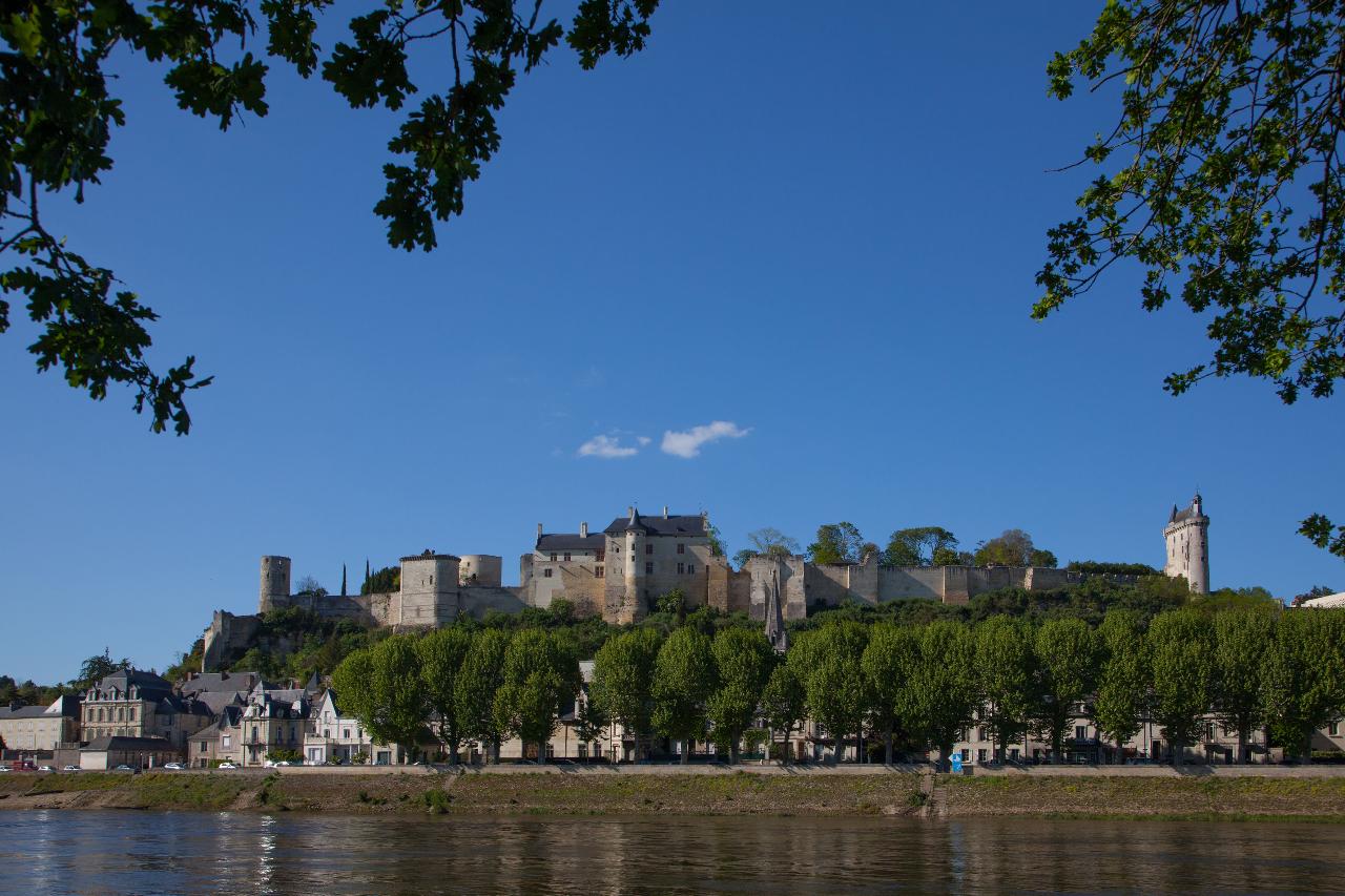 ROMANTIC CASTLES & DELICIOUS WINES OF THE LOIRE VALLEY FROM TOURS