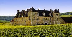 Dijon Wine Tour: Côte de Nuits & Côte de Beaune Vineyards