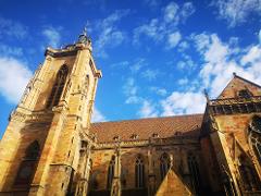 Medieval Villages & Wine: Alsace Highlights Private Tour by train from Paris