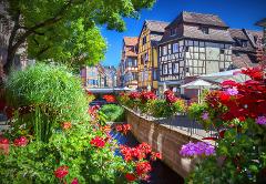 Fairytale Alsace: Colmar, Villages & Haut Koenigsbourg from Mulhouse