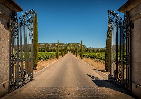 Provence Wine Tour: Exclusive Shore Excursion from Antibes