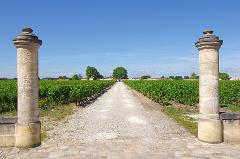 Bordeaux to Margaux Vineyards: Private Chauffeured Transfer