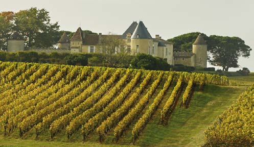 PRIVATE WINE TOUR FROM BORDEAUX FULL DAY