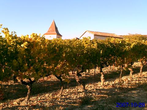 Explore Gaillac Wines: Private Half-Day Tour from Toulouse