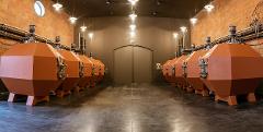 Luxury Pauillac Wine Experience at Château Haut‑Bages Libéral from Bordeaux