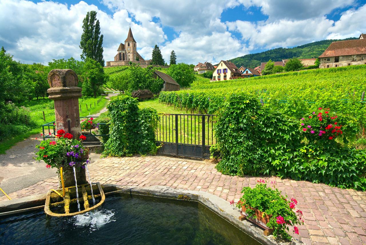 PRIVATE WINES AND/OR VILLAGES TOUR FROM STRASBOURG