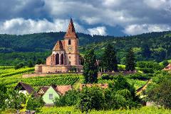 Alsace Vineyards: Private Wine Tour for Two from Strasbourg