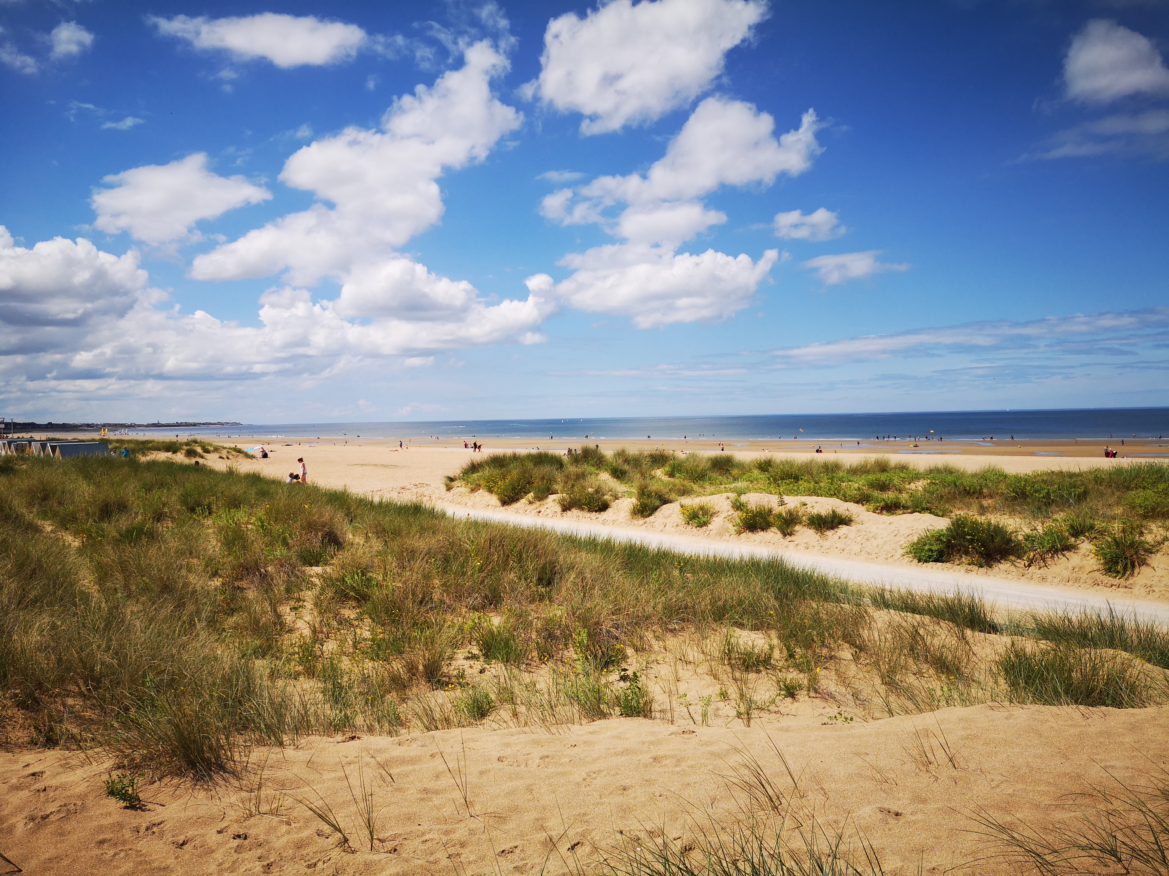 A Captivating D-Day Tour from Bayeux: Museums & Mulberry Harbors | Tickets Admission Included | Small Group (2~8 Pax)