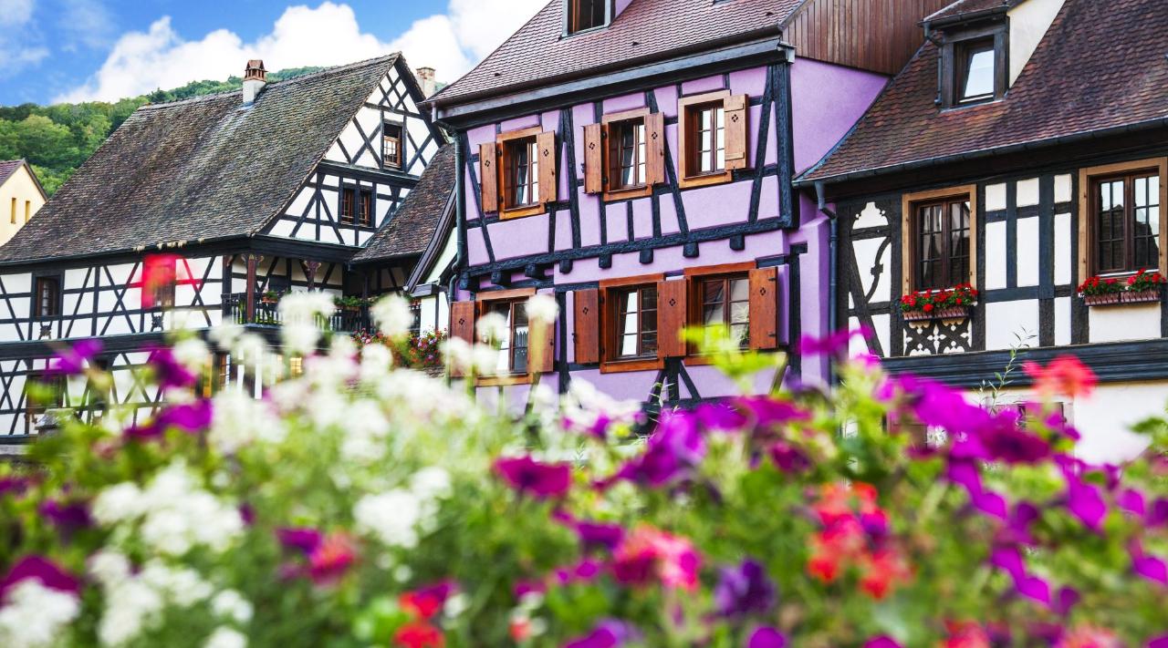 Strasbourg Private Sightseeing Transfer to Colmar 