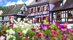 Strasbourg Private Sightseeing Transfer to Colmar 