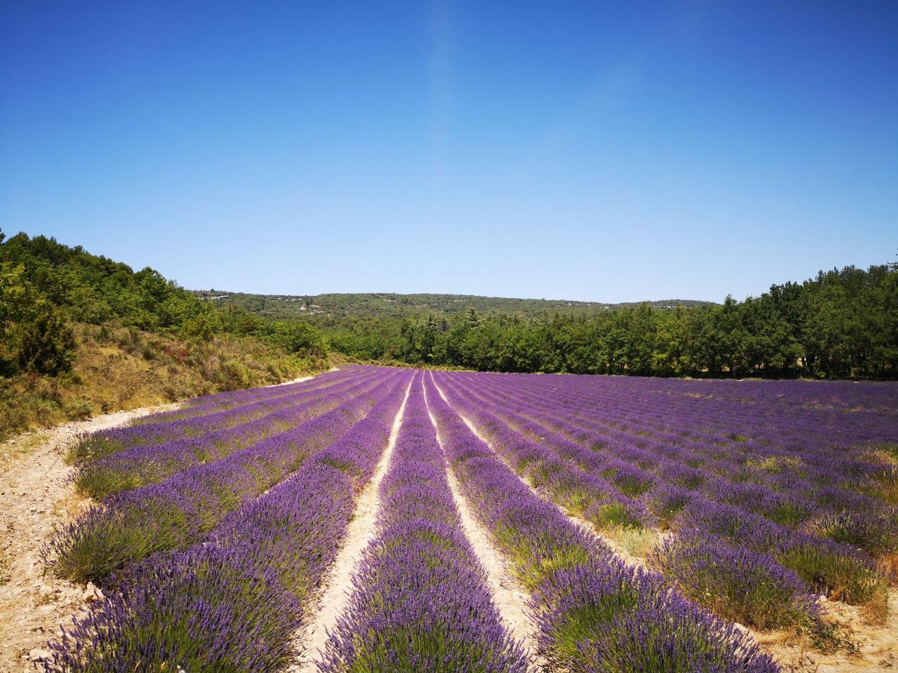5 Days Private Provence Package - 5* Hotel