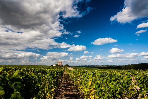Private Médoc Wine Tour from Bordeaux – River Cruise Excursion