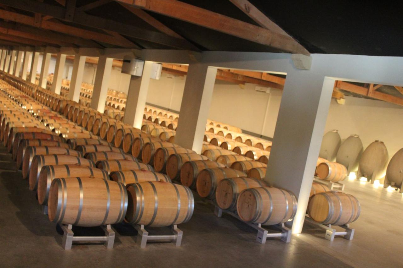 Luxury Médoc Getaway: Full day Private Wine Tour for 2 from Bordeaux