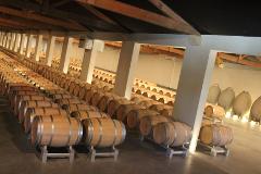 Luxury Médoc Getaway: Private Wine Tour for Two