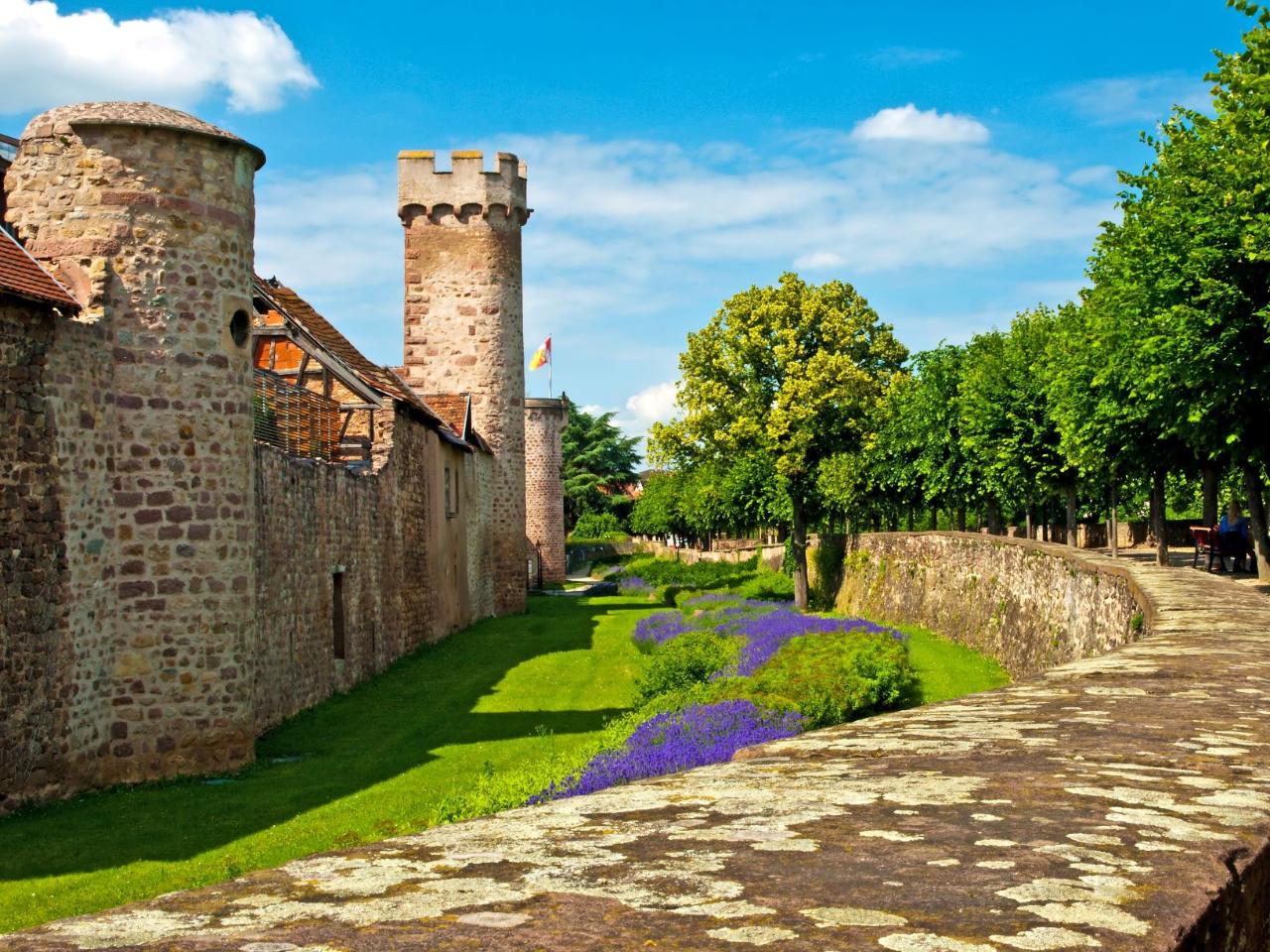 Medieval Charm & Mountain Views: Private Tour to Obernai & Mont Saint Odile