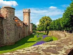 Medieval Charm & Mountain Views: Private Tour to Obernai & Mont Saint Odile