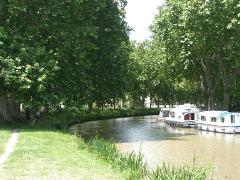 From Toulouse to Argens Minervois Canal du Midi Private Transfer