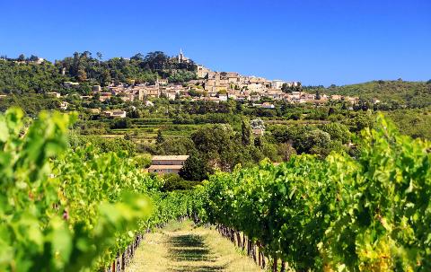 From Saint Tropez Provence Cru Classés Wine Tour Shore Excursion private